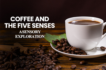 Coffee and the Five Senses: A Sensory Exploration