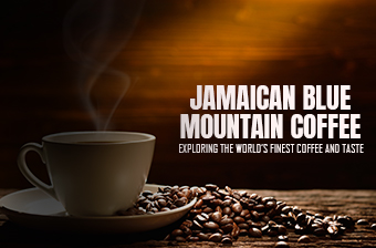 Jamaican Blue Mountain Coffee: Exploring the World’s Finest Coffee And Taste